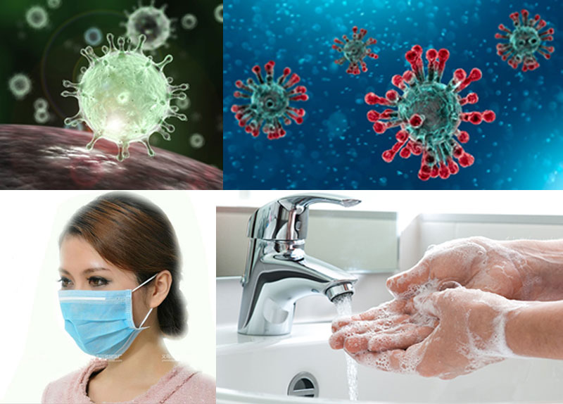 Corona Virus